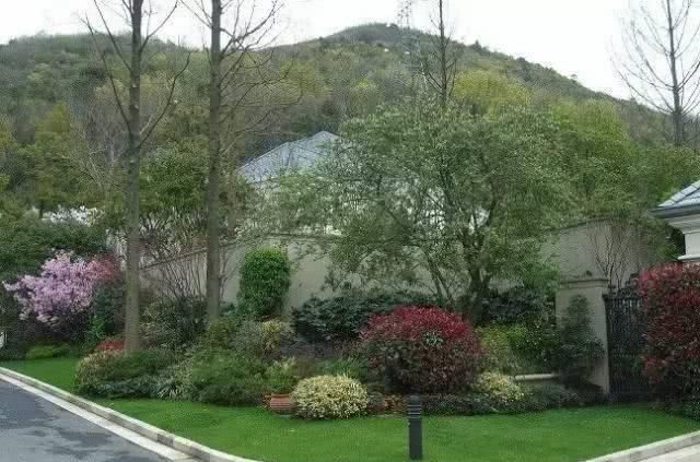 「观赏效果」园林植物搭配技巧,活学活用