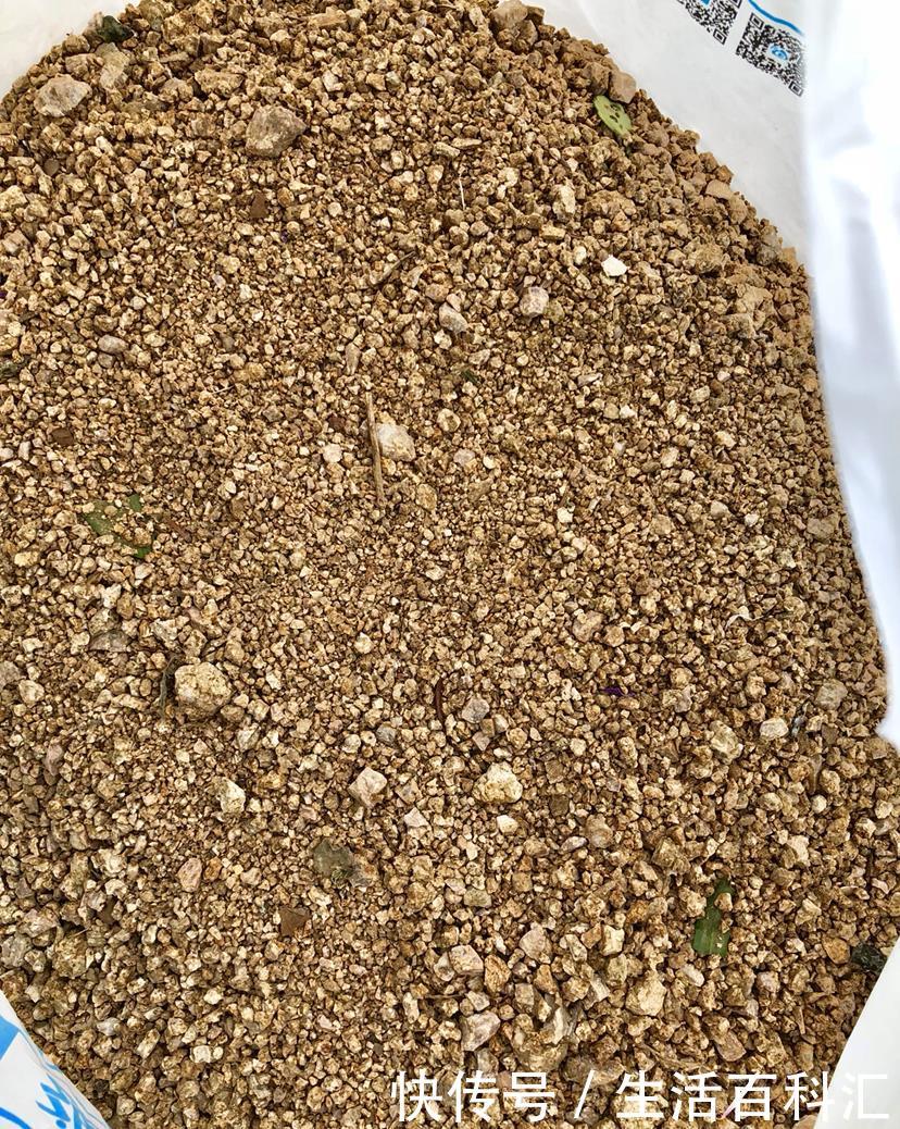  死翘翘：想要养好花，3个方面要注意，不然花都死翘翘