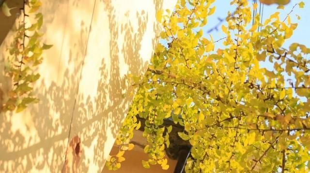 贝壳分享｜|看完这篇，又多了好多打卡地