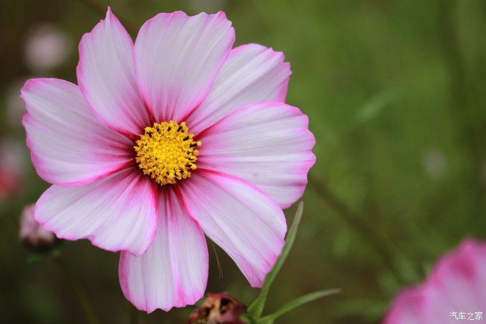 博越自驾游，网红打卡地 上河古村，一场美丽的邂逅