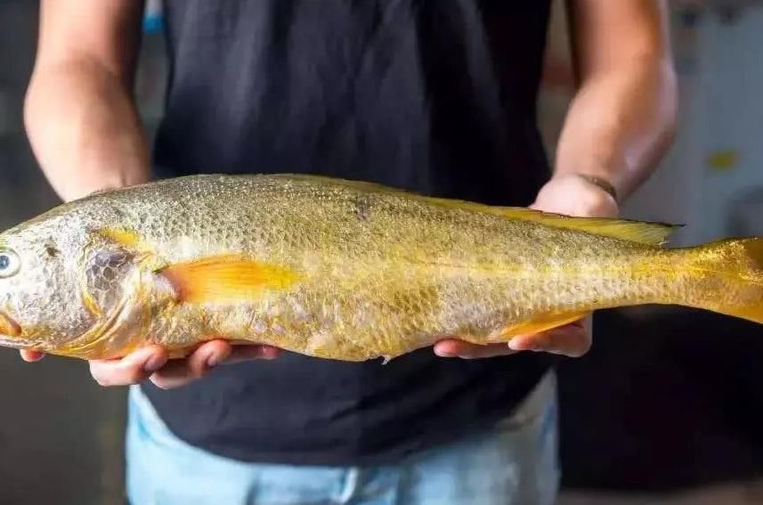 中国卖出“天价”的4种鱼，长江刀鱼今年禁捕，有钱你都买不到！