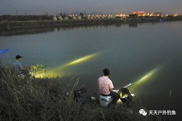  「白天」晚春玩夜钓，注意这些老套路，牢记4钓4不钓，助你连竿上鱼！