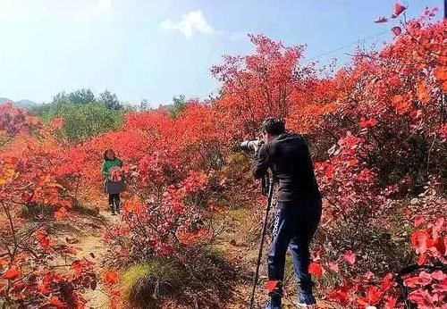 诗词:沁园春 秋