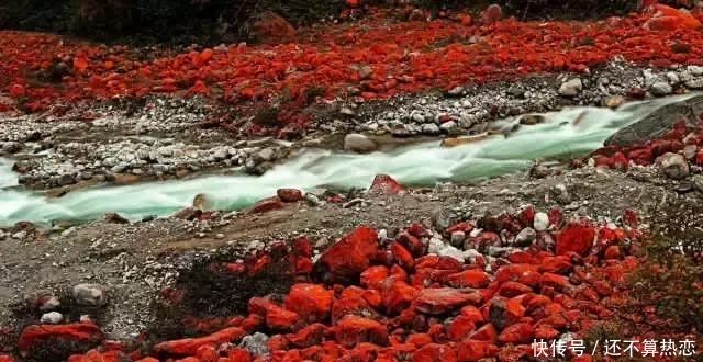 秋季最美的川西:给最爱美的你