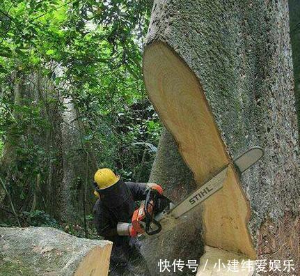  「雇人」山东”直流泵“面世，谁还雇人浇地，冲车浇地贼简单，才顿饭钱