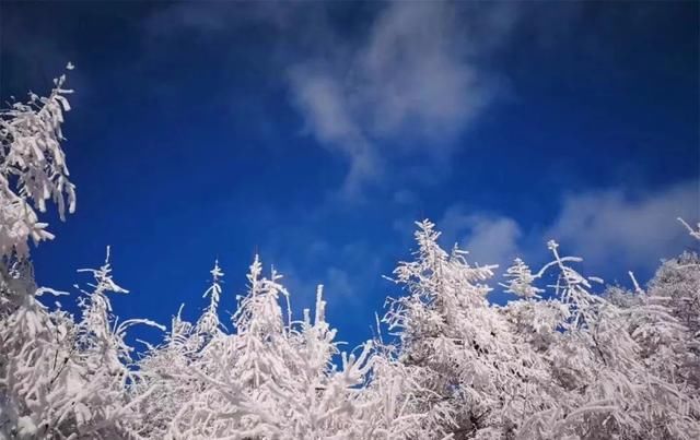 汉中汉江源雪景惹人醉，冬季赏雪不思归