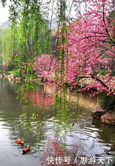 人间三月，桃红柳绿，杏花春雨，最美江南！