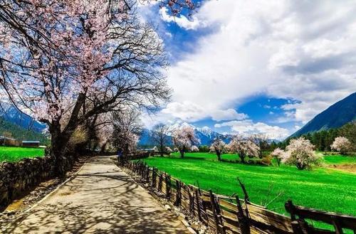 一旦去了这些地方，其他就都成了将就！