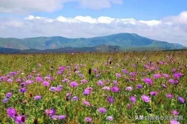 全国首条旅游高速公路来了，沿途都是美景，自驾走起