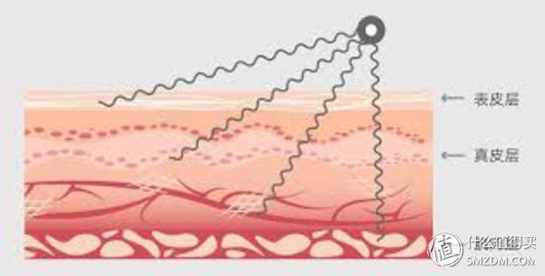 热门美容仪逐点评，真正值得投资的产品是哪个?