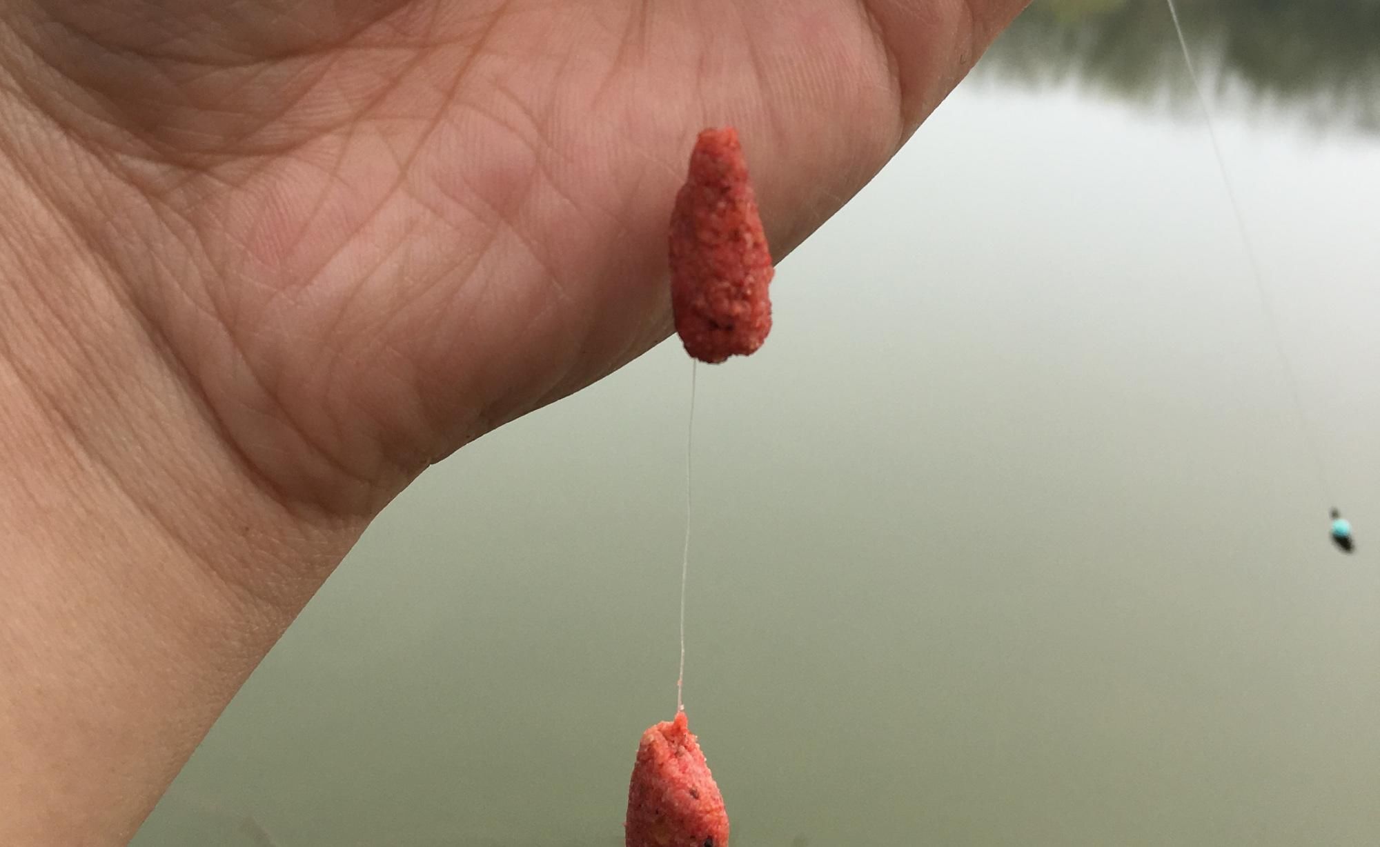  「野战蓝鲫」使用蓝鲫需要提前打窝吗？考虑这几点，打不打窝你决定