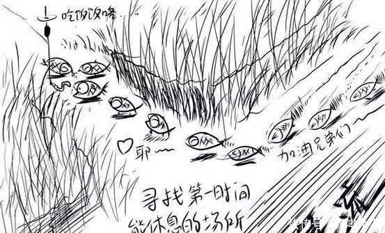 「钓鱼」老师傅找“鱼道”的方法,附图说明