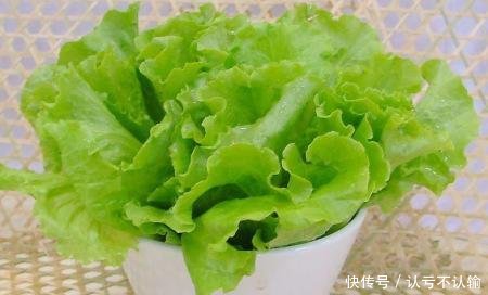  『蔬菜』阳台种蔬菜，秋天就选这4种，新叶蹭蹭长，秋冬能吃好几茬！