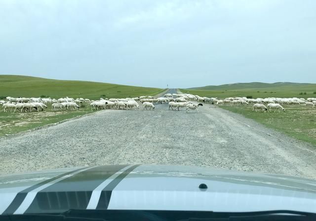 自驾房车在内蒙草原和暴风雨赛跑，被巨大的乌云盖顶是什么感受？