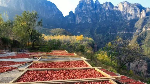 秋日里，山西20处绝美赏秋胜地美的像仙境