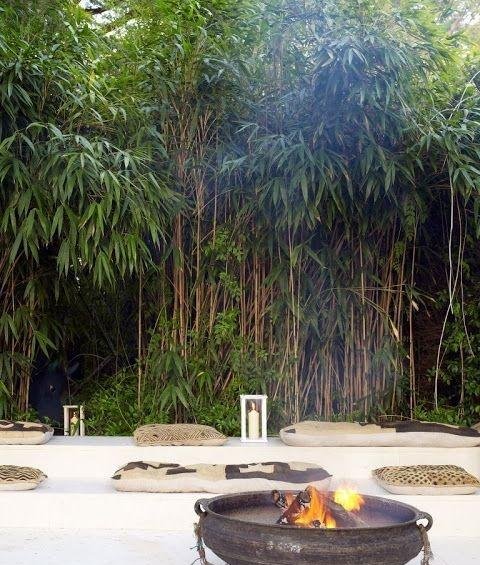 庭院竹子50张图告诉你，花园里种竹子有多高大上，气质瞬间提升