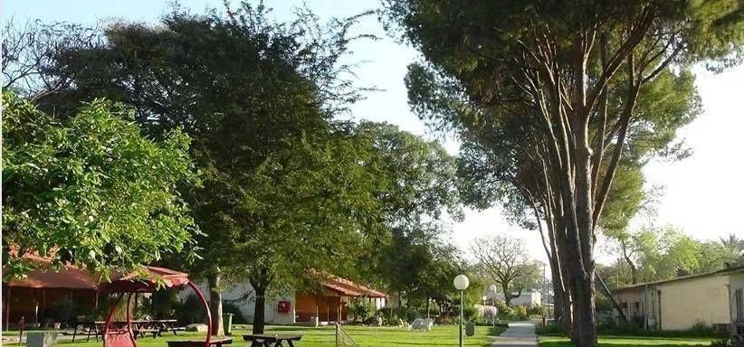  集体农场|这才是真正的“共享农庄”：除了老婆孩子，一切共享