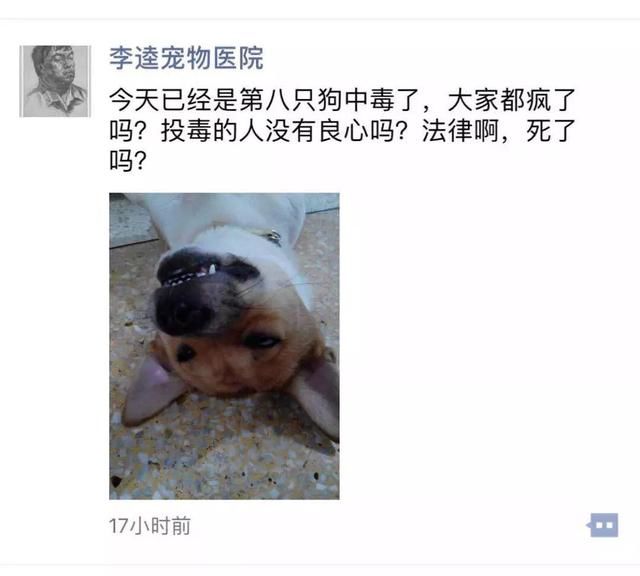 首都网警/人民日报正面回应“投放异烟肼致狗死亡究竟是否违法”