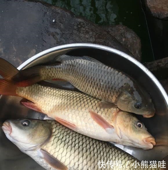  吓死人■缺德？为防止人“偷鱼”，水库边放置“水鬼”，钓鱼人：能吓死人