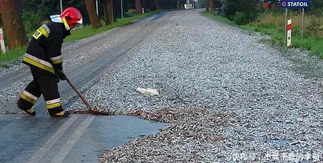 农村老话“有水就生鱼，鱼从天上来”，天上为什么会“下鱼”
