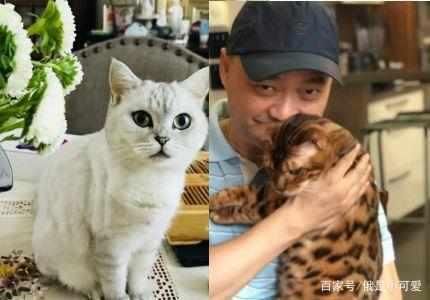 崔永元再发声！冯小刚范冰冰无码照流出，吃瓜群众们一脸懵圈！