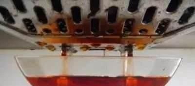  【们平时】厨房废油怎么处理最正确？别再傻傻的倒掉了，用来养花变废为宝！