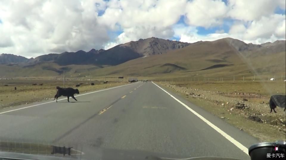 带着年迈父母去西藏，单车自驾奇骏，川进青出，13天7000公里~