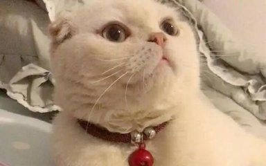 抖音十大最美女神排行榜 抖音很火的女生排行榜