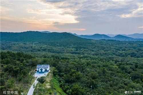 山东潍坊：森林公园秋景如画