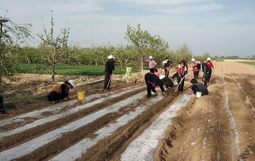 取消农业户口后,非农户口的承包地将收回?这些