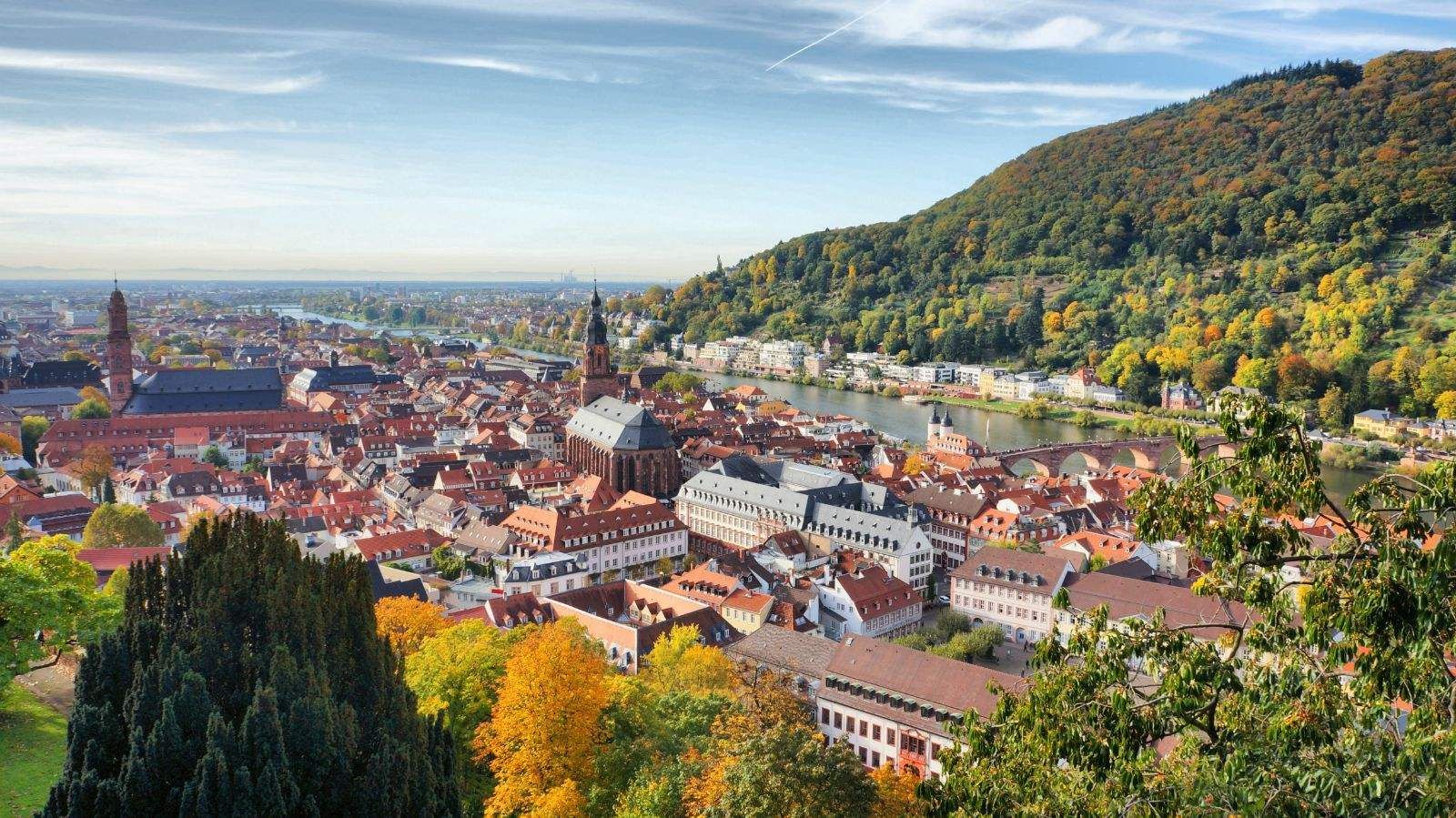 世界五百强企业日本上榜51家,美国数量最多,那