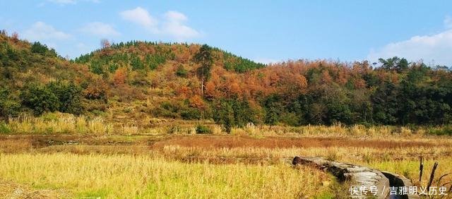 「种植」农村怪事种粮不赚钱,荒着会收回,土地流转却不愿意,为什么