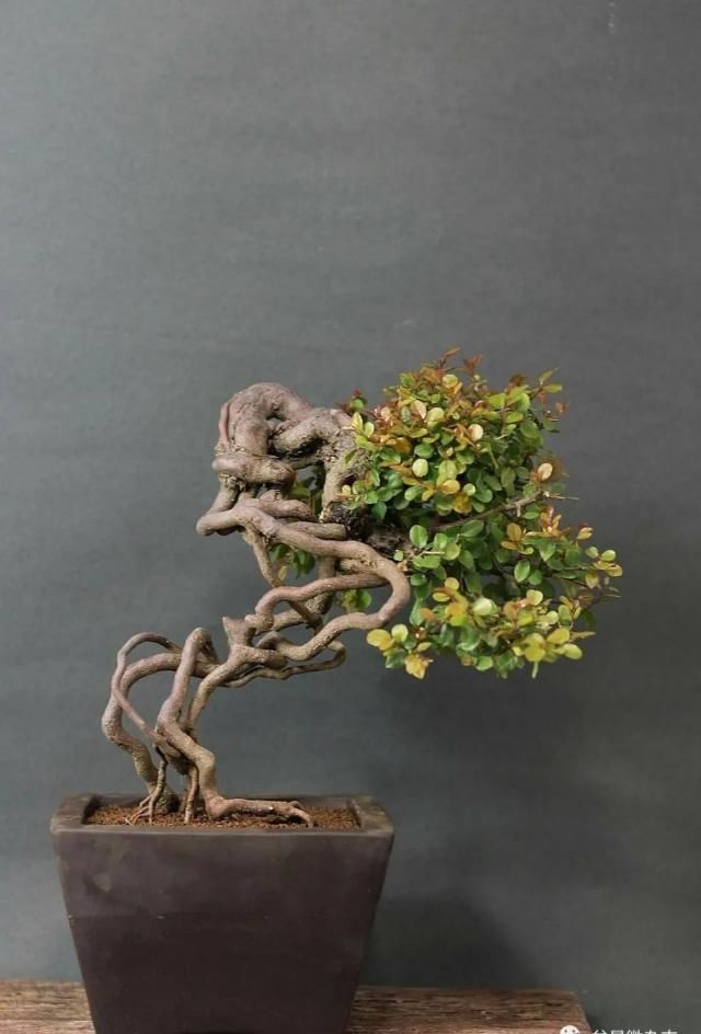 非艺术:平铺直叙非艺术,舒展层次真魂灵