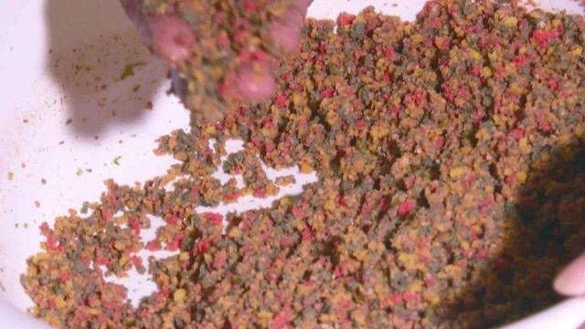 熟化：钓鱼时用熟饵效果好，还是生饵效果好