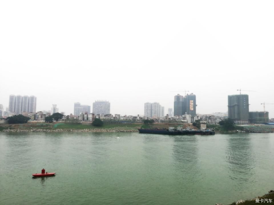 特别:十里春风,打卡滨江公园