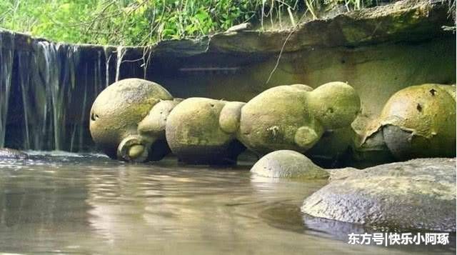 世界最“怪异”的石头,可自己喝水且遇水就长大,专家:无法解释