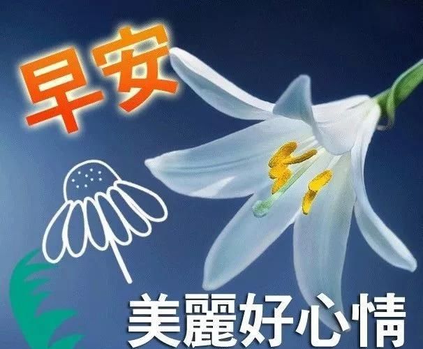  但一定@人海中有你，是一道风景；生活中有你，是一种幸福