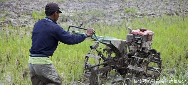 农村愈演愈烈的四大“怪风”，让农民很头疼，国家也该出手整治了