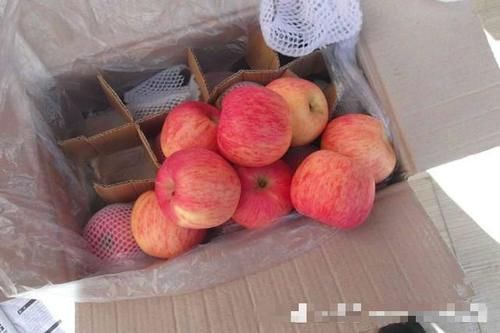  「3毛」3毛一斤贱卖榨汁厂，曾经一果难求，现在一车难卖，果农