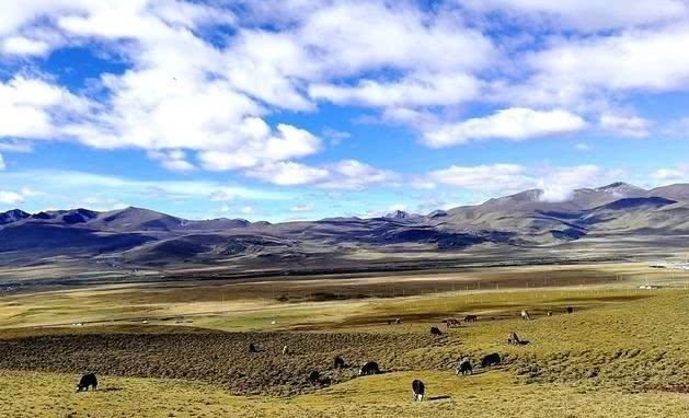 租车自驾318川藏线，这样走可以省5000-10000块钱