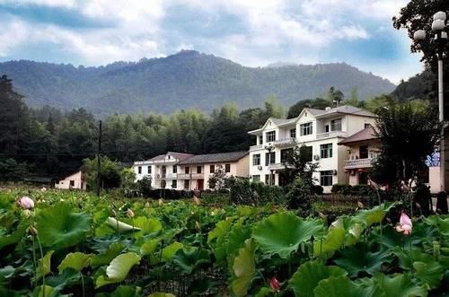  【村镇】未来5年，农村启动“合并村镇”工程，优先安排3类村庄