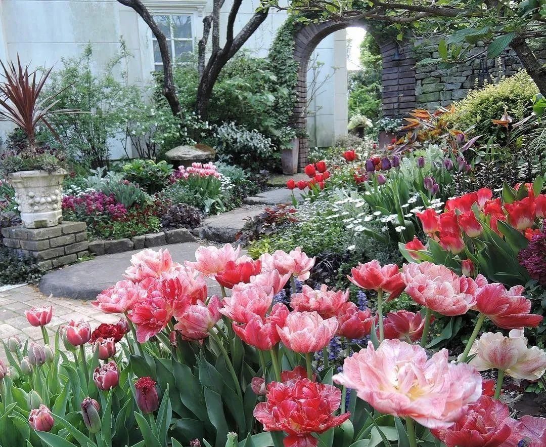 『植物』庭院花园花境设计——花境建造准备!