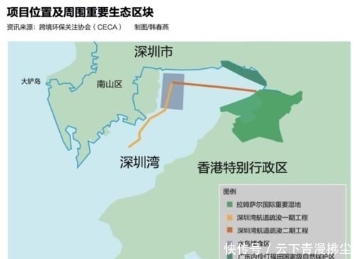 「生存」环评“抄作业”，威胁10万水鸟生存，深圳湾新航道引发激烈争议