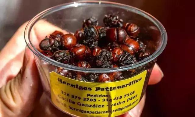 哥伦比亚人将蚂蚁当零食:爆炒后装袋当花生米吃,价格还很昂贵!