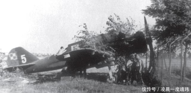 『机组人员』天降翼骑兵——二战波兰空军对德国本土的首次空袭