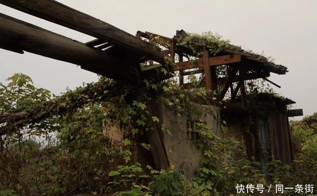 安徽有个“凤凰古城”,被李白誉为西来第一镇,如今即将要消失