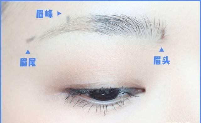  眉型条件稍@0基本画眉教程！看了你也就会了