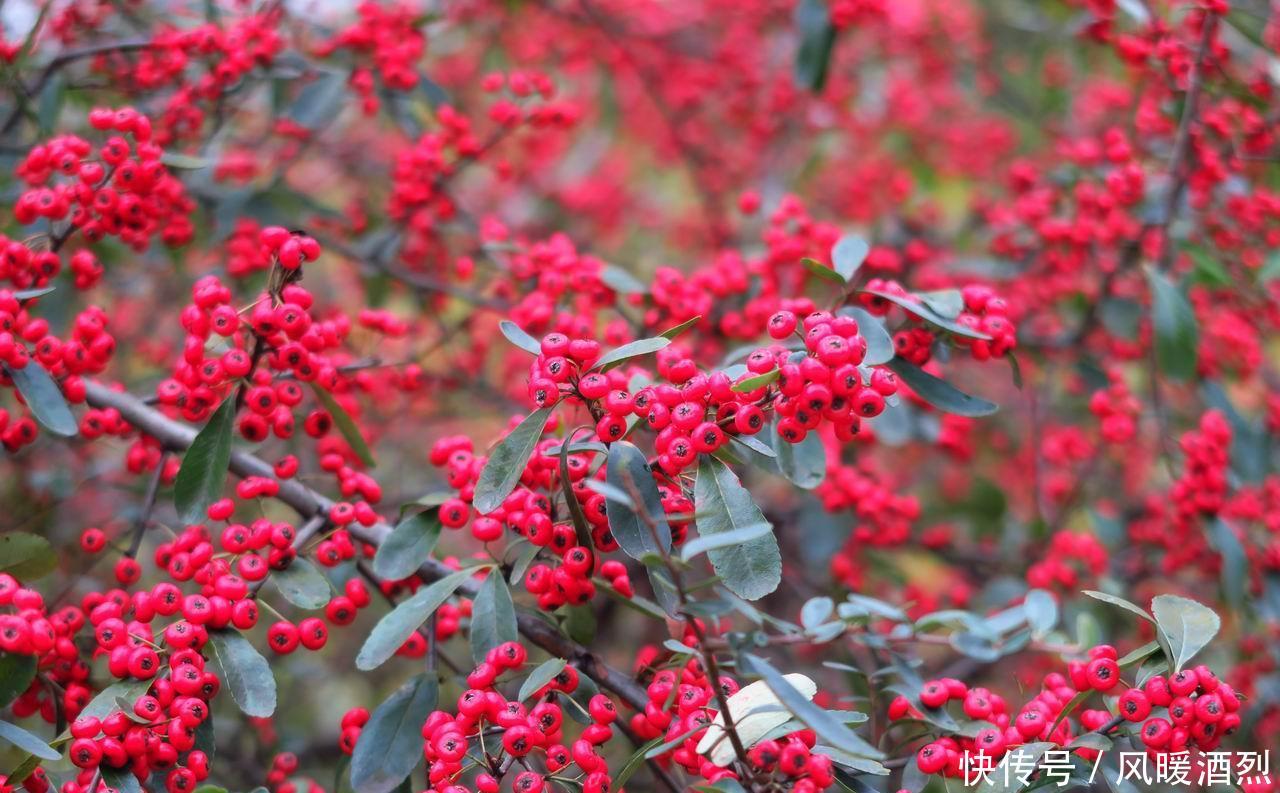 江西:井冈山革命根据地如今已经是远近闻名的旅游区