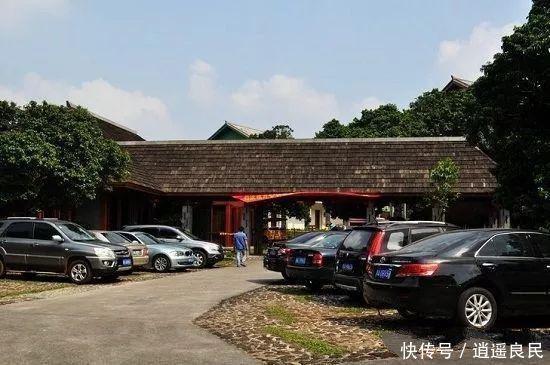 农业的悲哀:有太多的“专家”不考虑农民致富,却对农民指手画脚