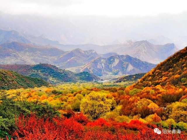 有此秋景，何必远方！